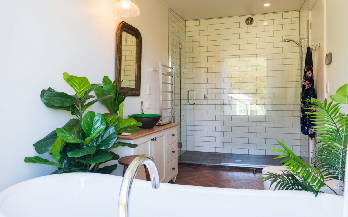 Builder Takaka, architectural home